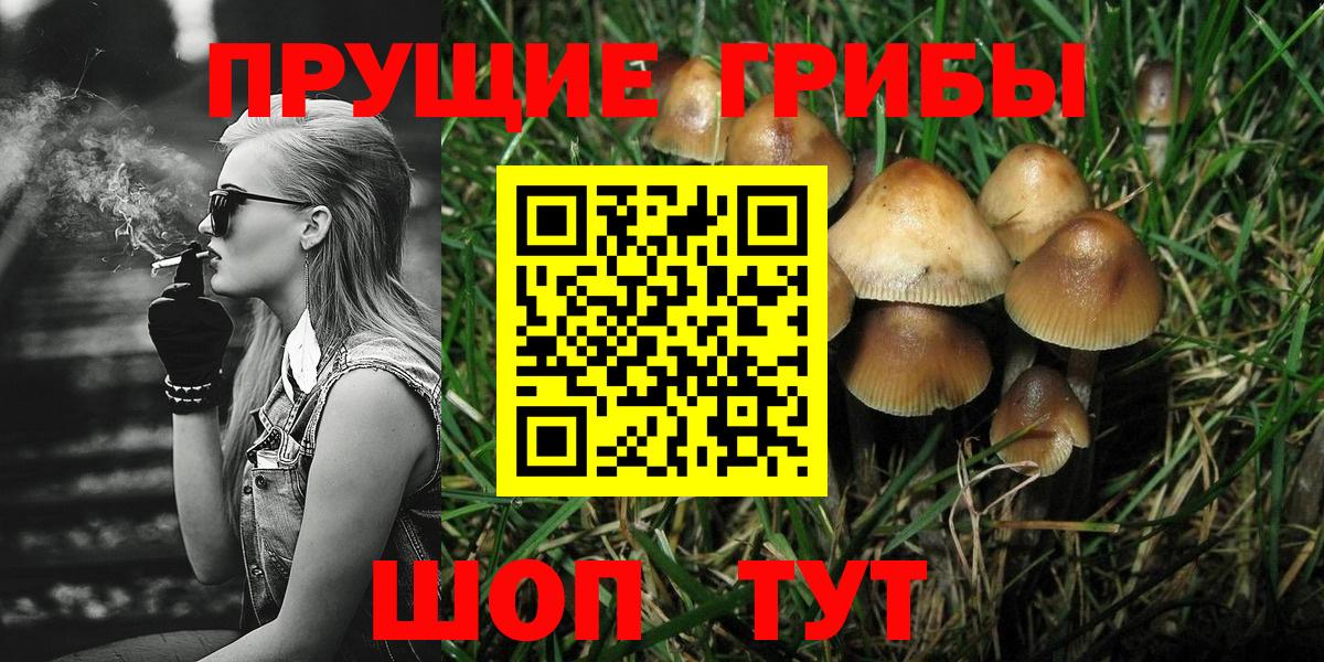 Галлюциногенные грибы Cubensis  Вход с VPN  Шали 